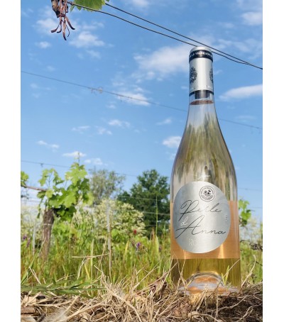 12 bouteilles / Perle d'Anna